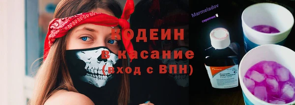 гидра Арсеньев
