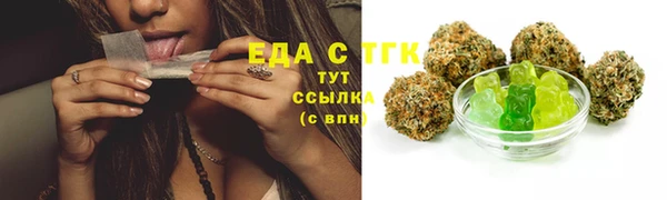 гидра Арсеньев